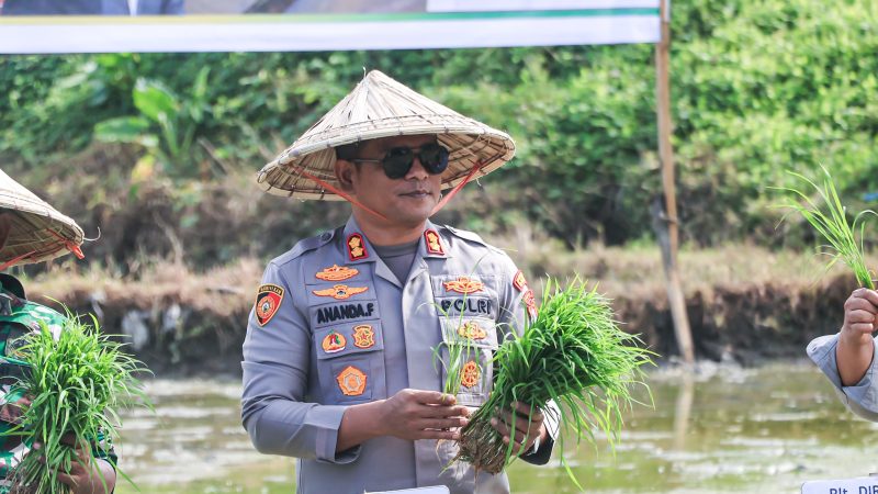 Komitmen Wujudkan Ketahanan Pangan, Polres Barru Dukung Percepatan Tanam Serentak 50 Ribu Hektar