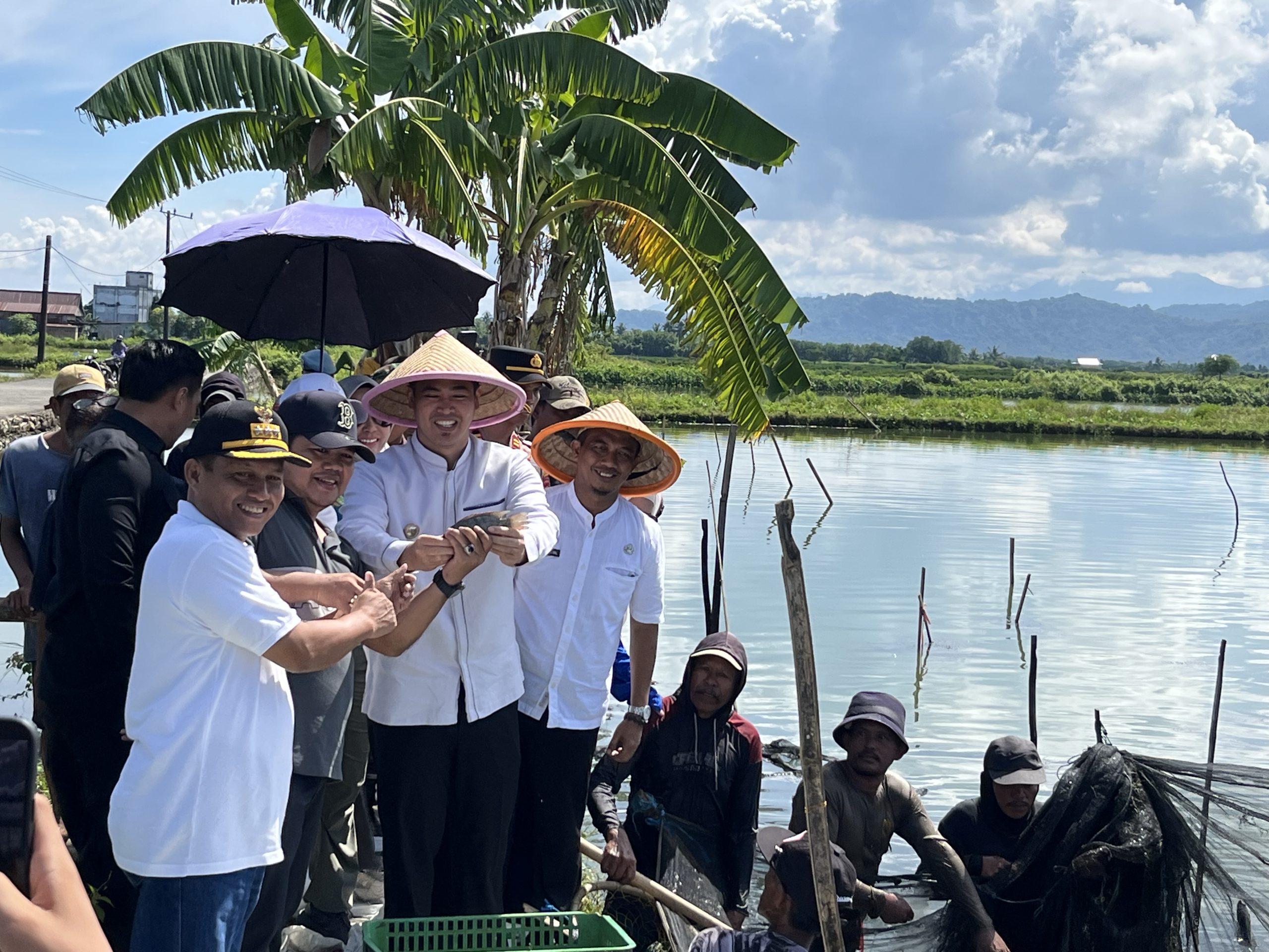 POKDAKAN Maju Bersama Merah Putih Pangkep Panen Perdana 60 Ribu Ekor Ikan Nila
