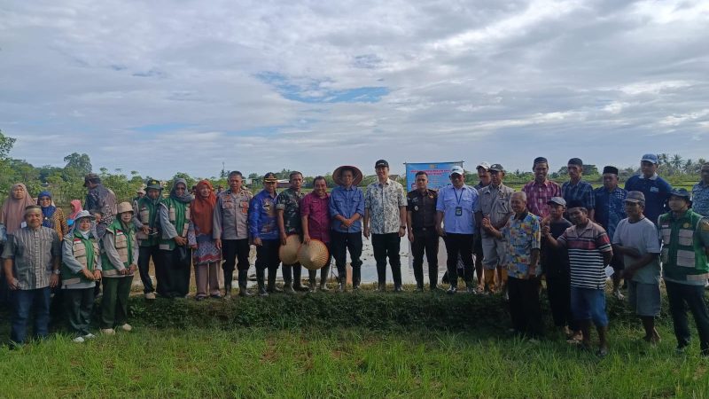 Pemkab Pangkep Gelar Tanam Perdana Padi Pola Pertanian Modern