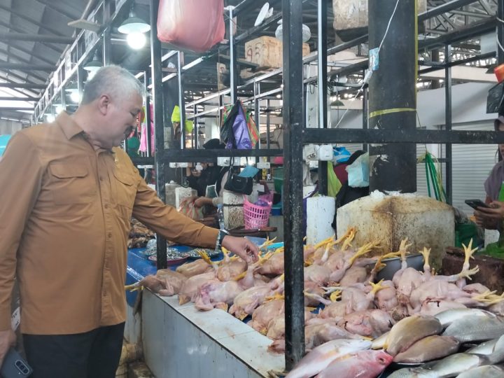 Pantau Harga Bapok: Bupati Pinrang Bilang Harga Normal, Pedagang Bilang Melonjak