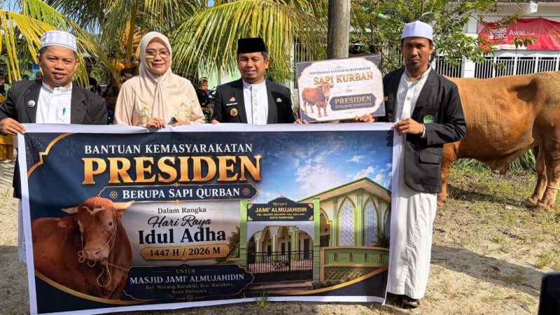 Warga Pelosok Parepare Rasakan Manfaat Sapi Kurban Presiden Prabowo