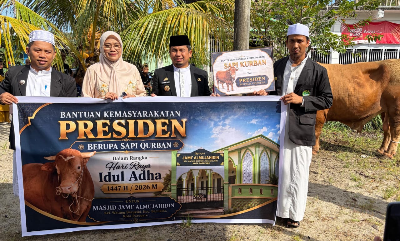 Warga Pelosok Parepare Rasakan Manfaat Sapi Kurban Presiden Prabowo