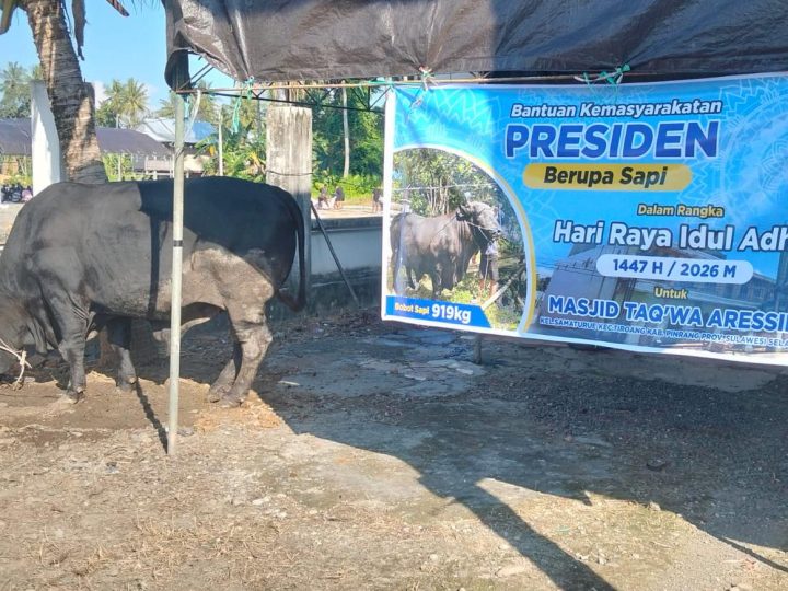 Daging Sapi Bamas Presiden Prabowo Dibagikan di Tiroang Pinrang
