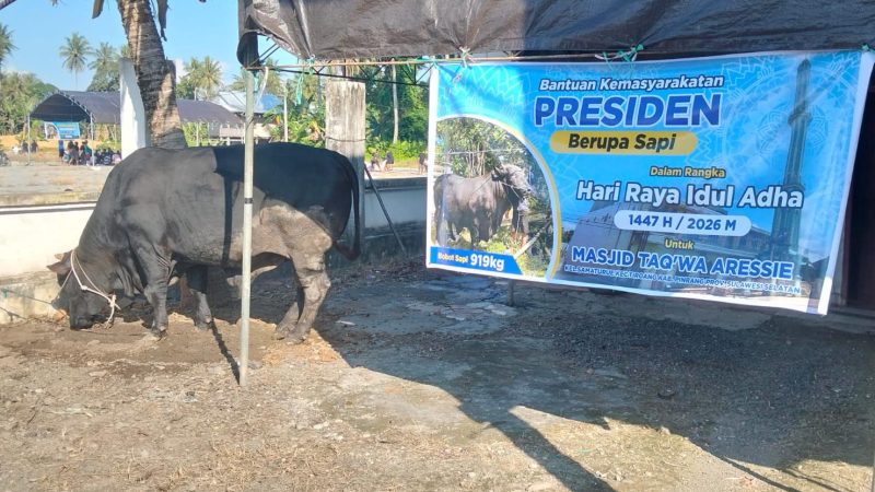 Daging Sapi Bamas Presiden Prabowo Dibagikan di Tiroang Pinrang