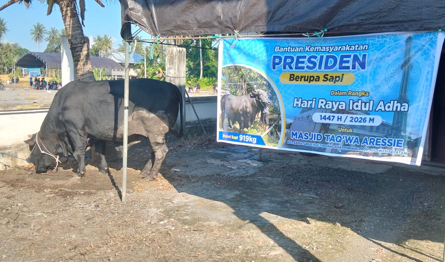 Daging Sapi Bamas Presiden Prabowo Dibagikan di Tiroang Pinrang