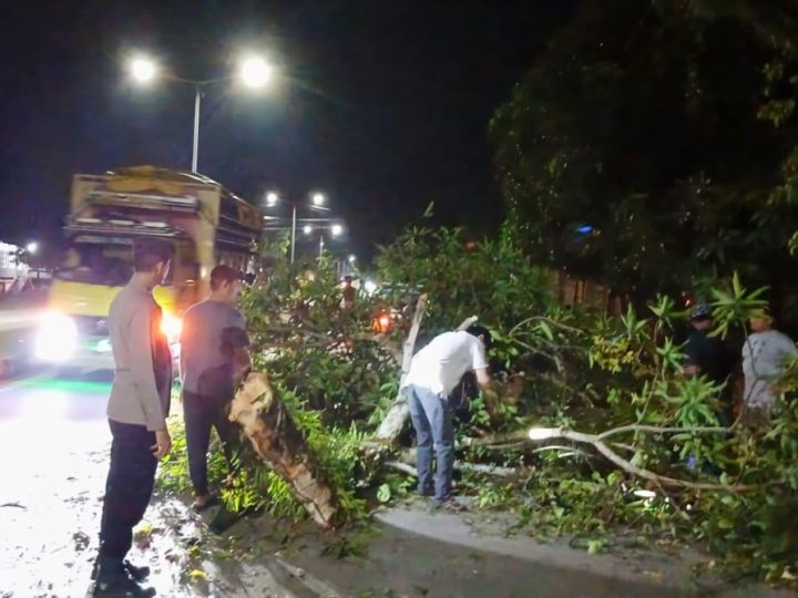 Polsek Tanete Rilau Gerak Cepat Evakuasi Pohon Tumbang di Jalur Poros Pare–Makassar