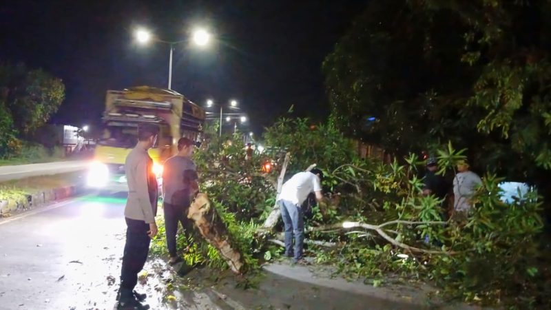 Polsek Tanete Rilau Gerak Cepat Evakuasi Pohon Tumbang di Jalur Poros Pare–Makassar
