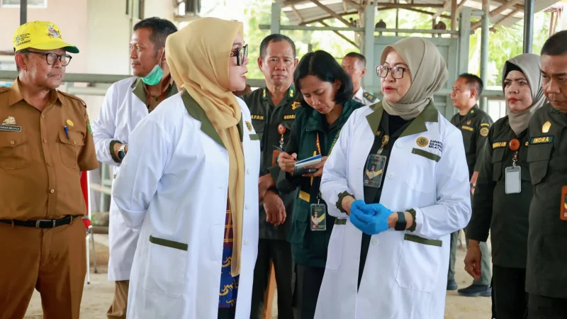 Bupati Barru Tinjau Karantina Hewan Garongkong, Pastikan Ternak Kurban Sehat dan Aman