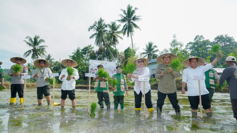Bupati Barru Tegaskan Pertanian Jantung Ekonomi Daerah pada Tanam Serentak Nasional