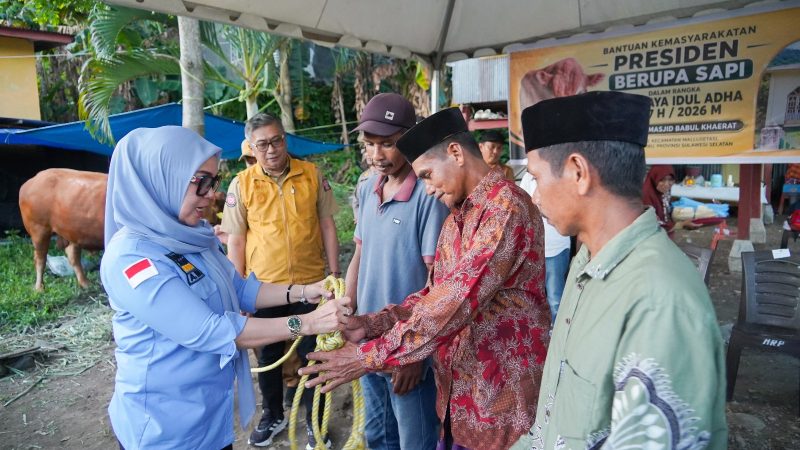 Bupati Barru Serahkan Sapi Kurban Presiden Prabowo untuk Warga Desa Nepo