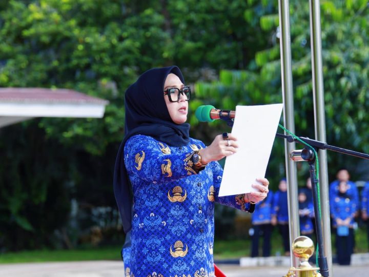 Hari Kesadaran Nasional, Bupati Barru Serahkan SK Pensiun kepada 25 ASN Purna Tugas