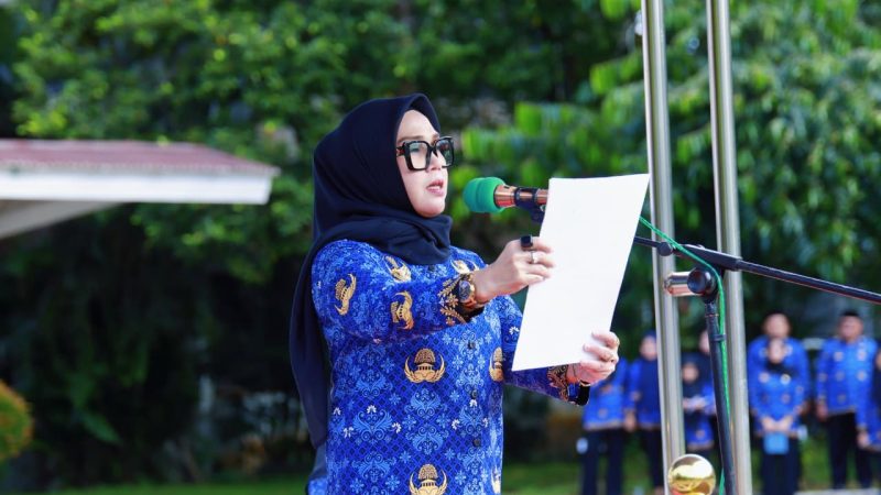 Hari Kesadaran Nasional, Bupati Barru Serahkan SK Pensiun kepada 25 ASN Purna Tugas
