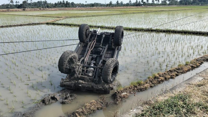Terlibat Kecelakaan, Dua minibus di Pinrang Terjun ke Sawah