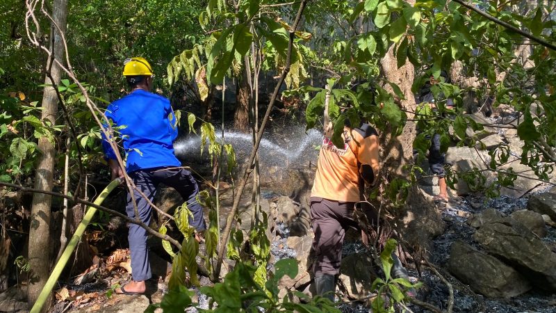 Polsek Tanete Riaja Bersama Warga Gerak Cepat Padamkan Kebakaran Lahan Jati