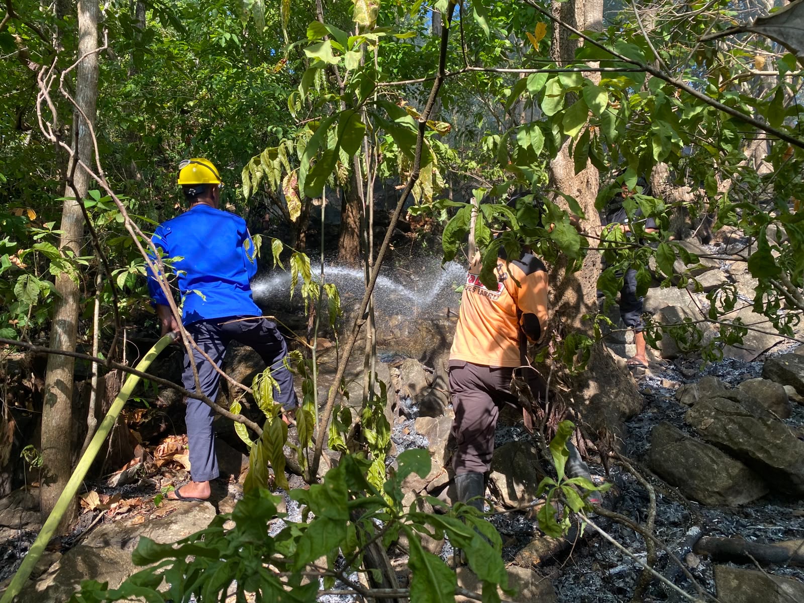 Polsek Tanete Riaja Bersama Warga Gerak Cepat Padamkan Kebakaran Lahan Jati