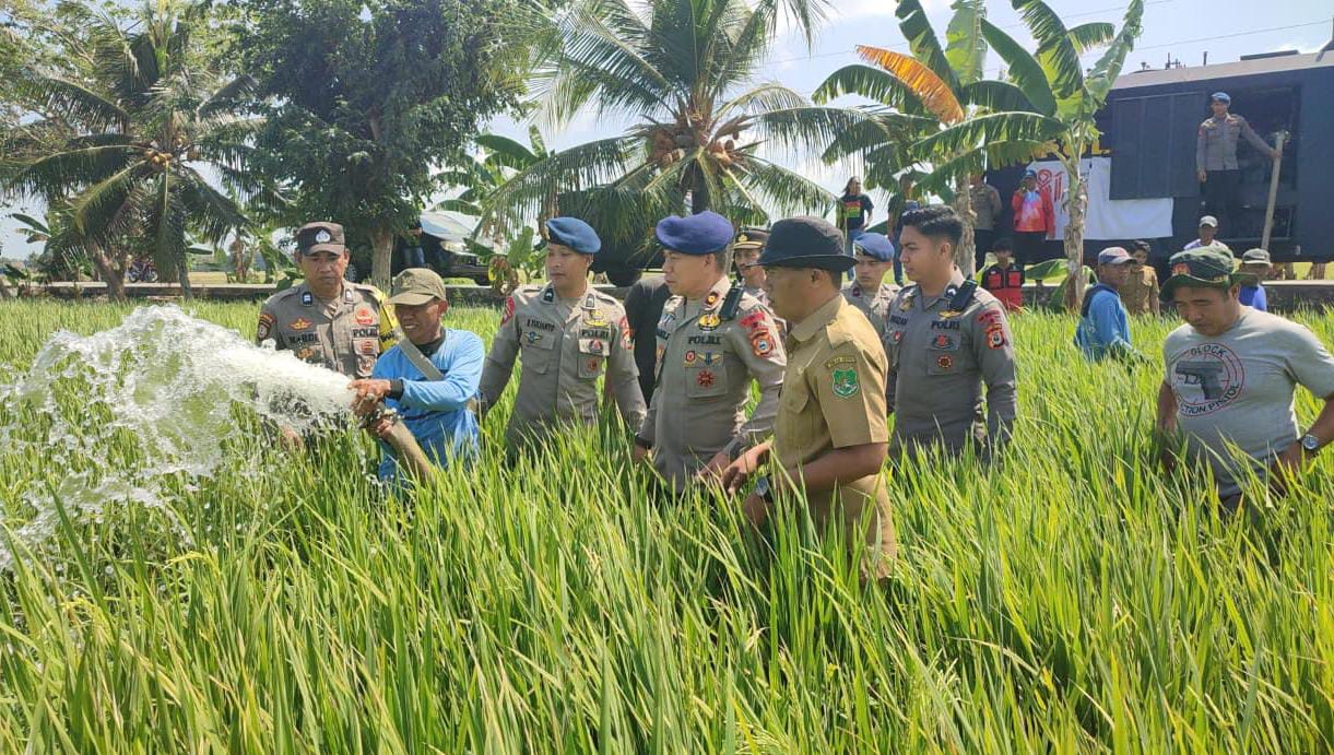 Kekeringan Melanda, Brimob Turun Tangan Salurkan Air ke Sawah Petani di Sidrap