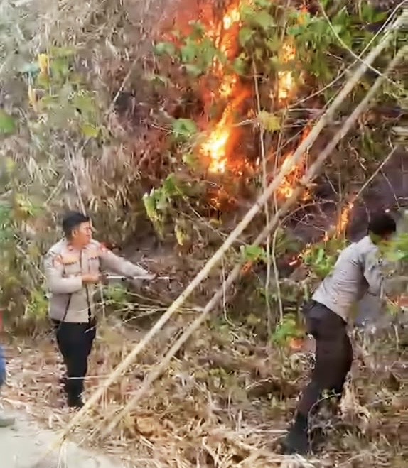 Polsek Tanete Riaja Gerak Cepat Tangani Kebakaran Lahan & Kebun di Jl Poros Pekkae-Soppeng