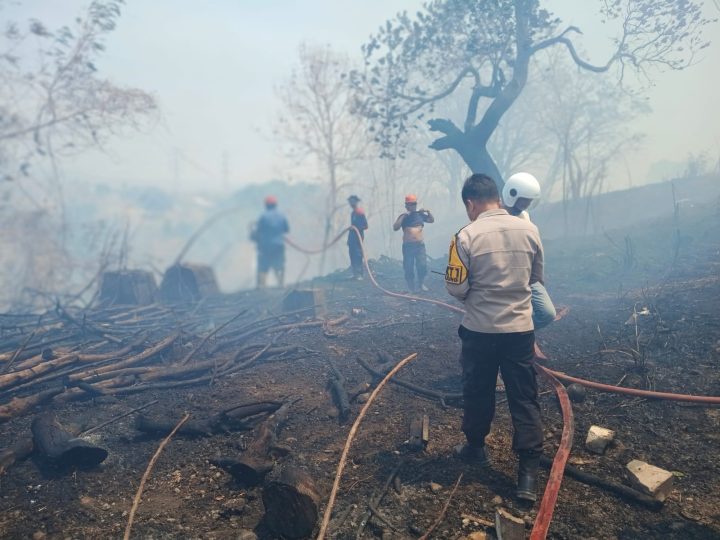 Api Meluas Diterpa Angin, Polisi dan Damkar Berjibaku Padamkan Kebakaran Lahan di Parepare