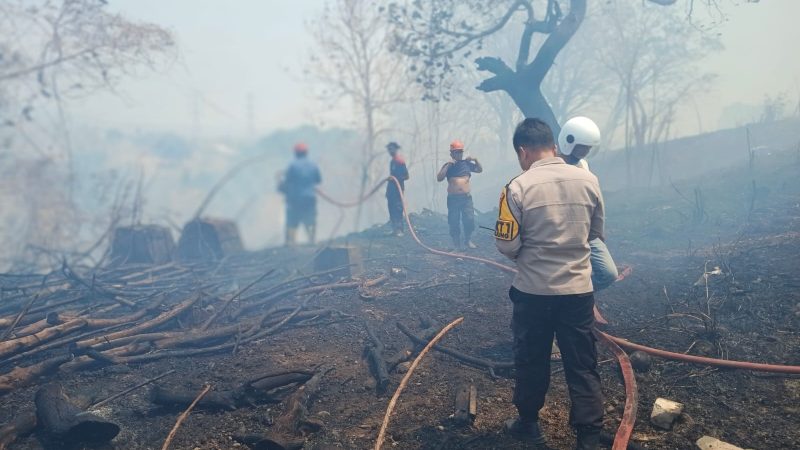 Api Meluas Diterpa Angin, Polisi dan Damkar Berjibaku Padamkan Kebakaran Lahan di Parepare