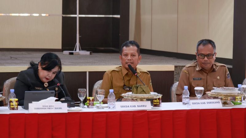 Sekda Barru Paparkan Strategi Pengendalian Inflasi di HLM TPID Sulsel, GPM Salah Satu Upaya Stabilkan Harga