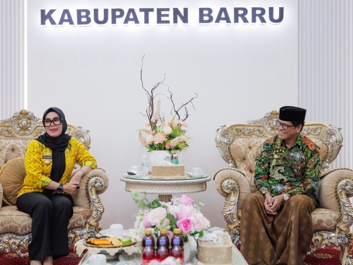 Sinergi Pemerintah dan NU Kunci Selesaikan Persoalan Masyarakat Barru