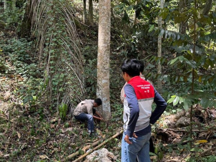 Menelusuri Kekayaan Flora Sulawesi, Pertamina Sulawesi dan UPT Kebun Raya Pucak Eksplorasi Tanaman di Bone