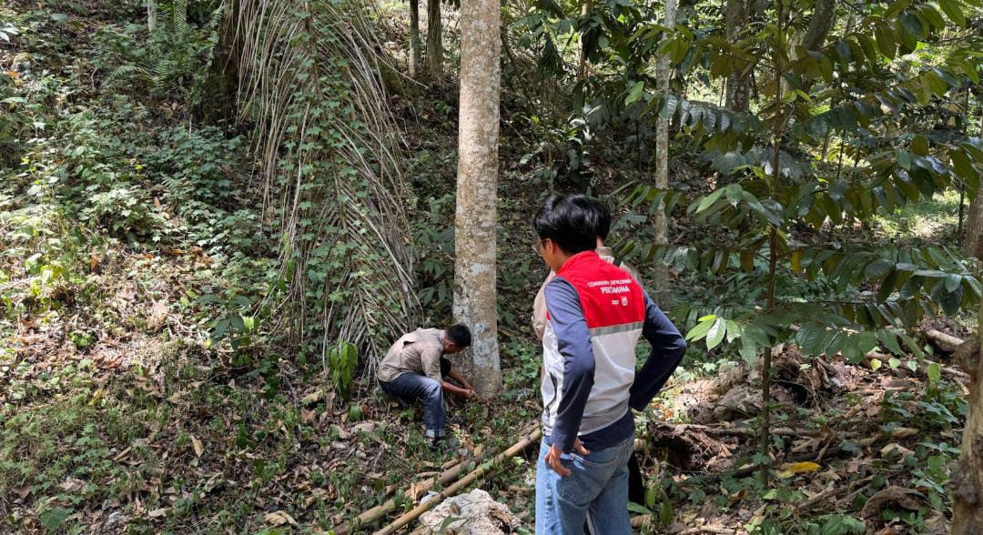 Menelusuri Kekayaan Flora Sulawesi, Pertamina Sulawesi dan UPT Kebun Raya Pucak Eksplorasi Tanaman di Bone
