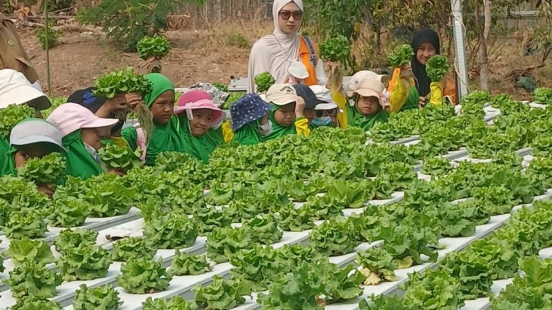 Dinas Ketapang Parepare Edukasi Anak PAUD Cara Bercocok Tanam Sejak Dini