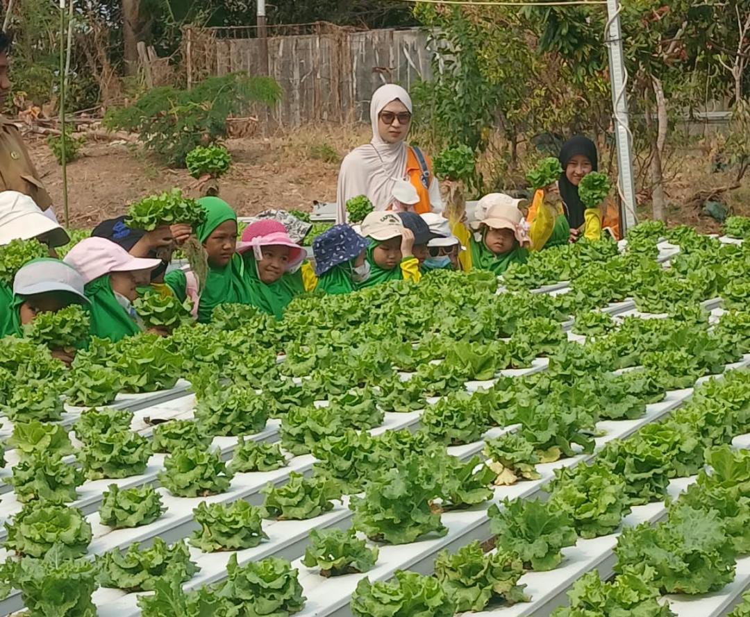 Dinas Ketapang Parepare Edukasi Anak PAUD Cara Bercocok Tanam Sejak Dini