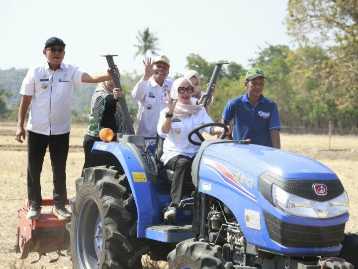 Bupati Barri Hadiri Tradisi Mappalili di Cilellang: Bukan Sekadar Upacara, Melainkan Doa dan Langkah Nyata Jaga Ketahanan Pangan