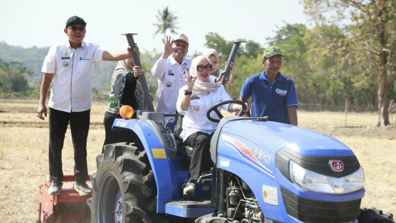 Bupati Barri Hadiri Tradisi Mappalili di Cilellang: Bukan Sekadar Upacara, Melainkan Doa dan Langkah Nyata Jaga Ketahanan Pangan