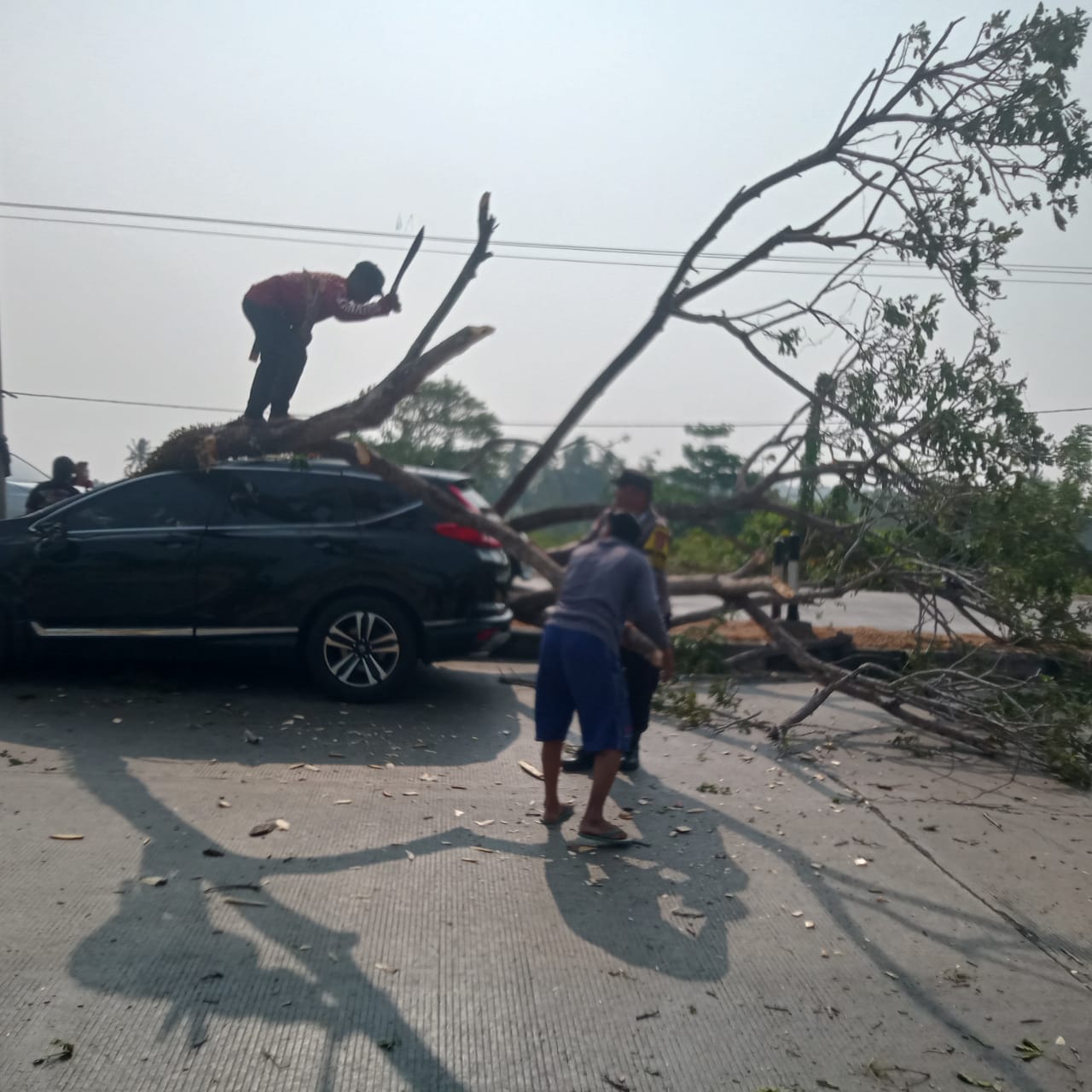 Mobil Mini Bus Tertimpa Pohon Tumbang di Jl Poros Barru, Bhabinkamtibmas Polsek Soppeng Rija-Warga Sigap Bantu Korban